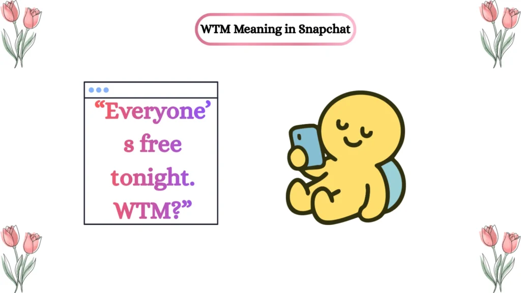 WTM Meaning in Snapchat