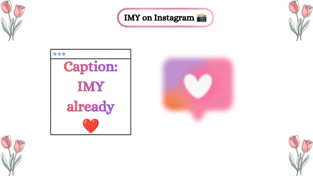 IMY on Instagram 📸