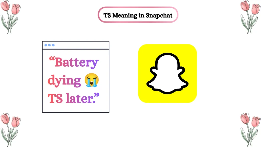 TS Meaning in Snapchat