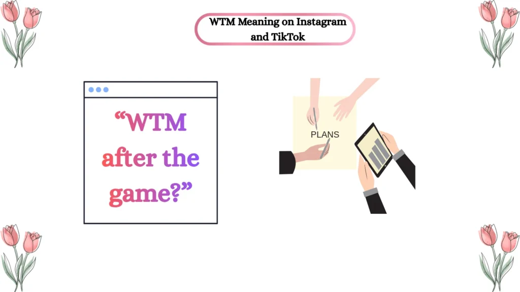WTM Meaning on Instagram and TikTok