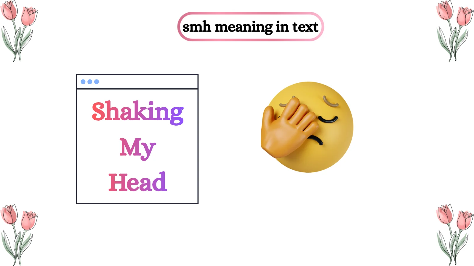 SMH Meaning in Text
