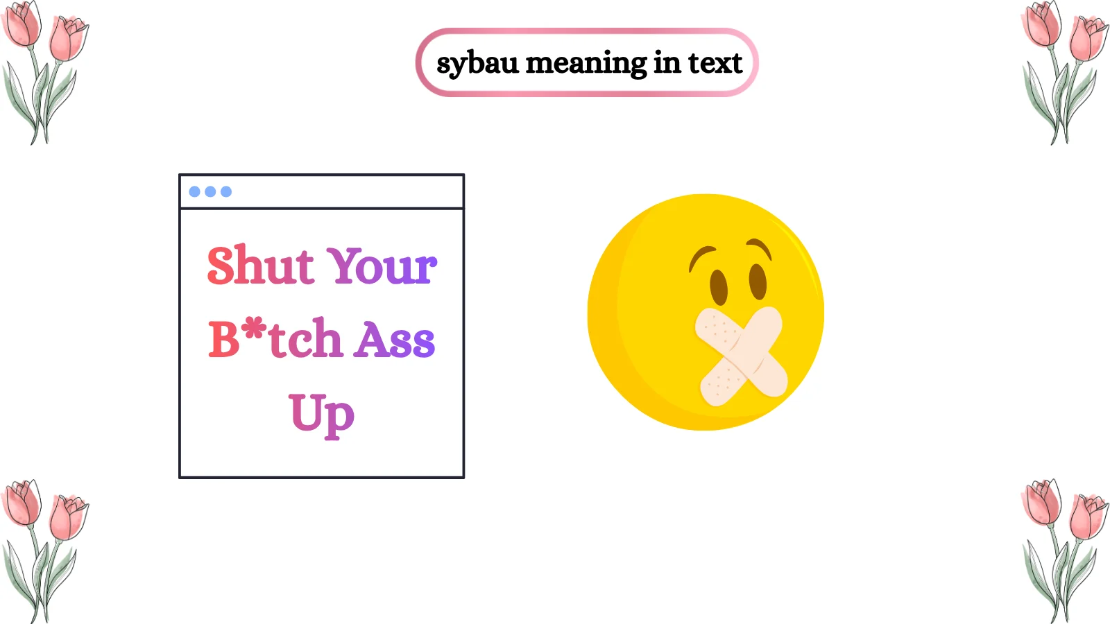 SYBAU Meaning in Text